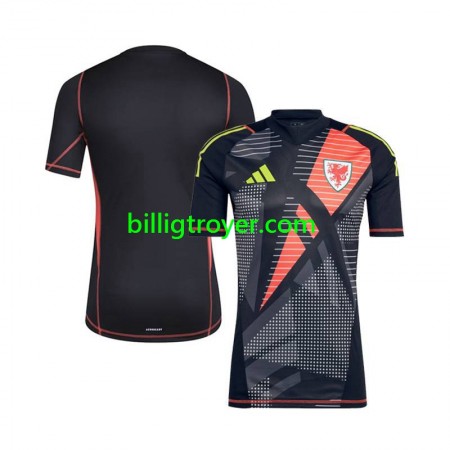 Billige Fotballdrakter Wales Keeper Hjemmedraktsett 2024 Kortermet